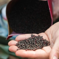 OMC Paella Micro Pellet Mix 1kg